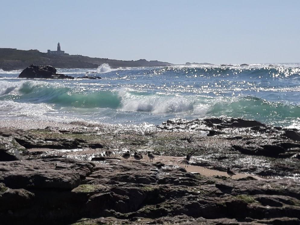 Hostal Balieiros Corrubedo Buitenkant foto